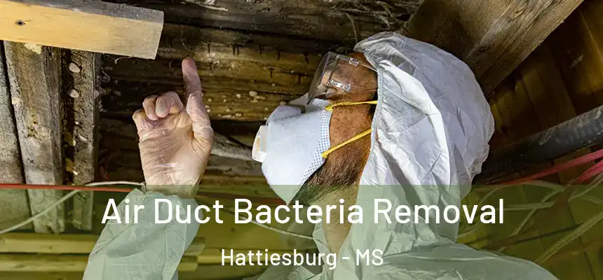Air Duct Bacteria Removal Hattiesburg - MS