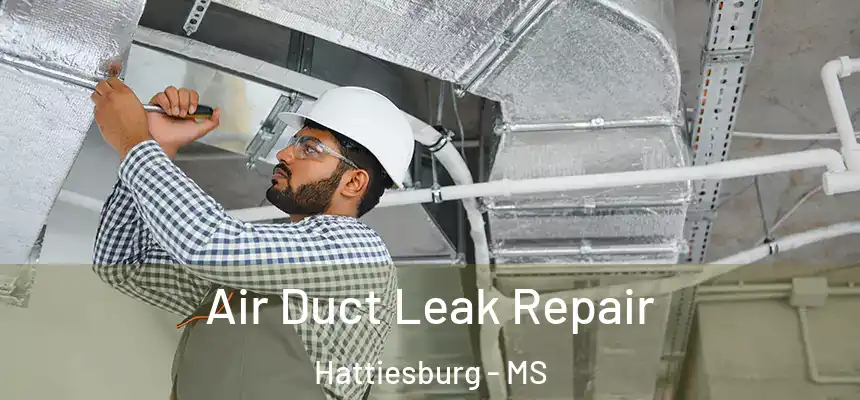  Air Duct Leak Repair Hattiesburg - MS