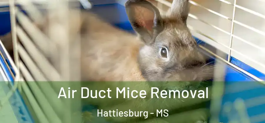 Air Duct Mice Removal Hattiesburg - MS