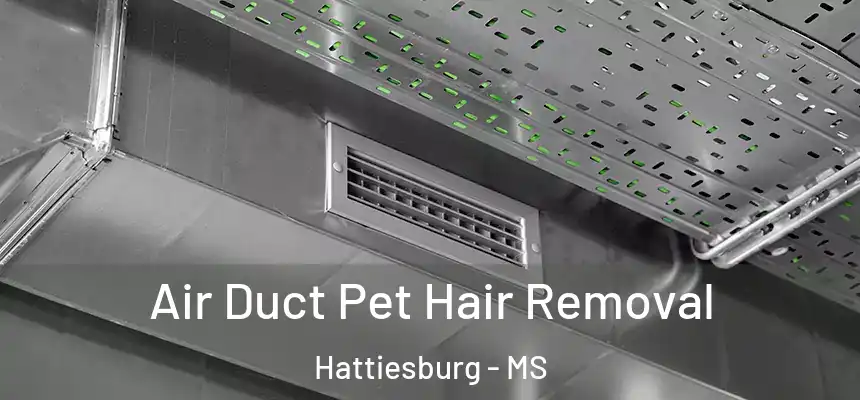  Air Duct Pet Hair Removal Hattiesburg - MS