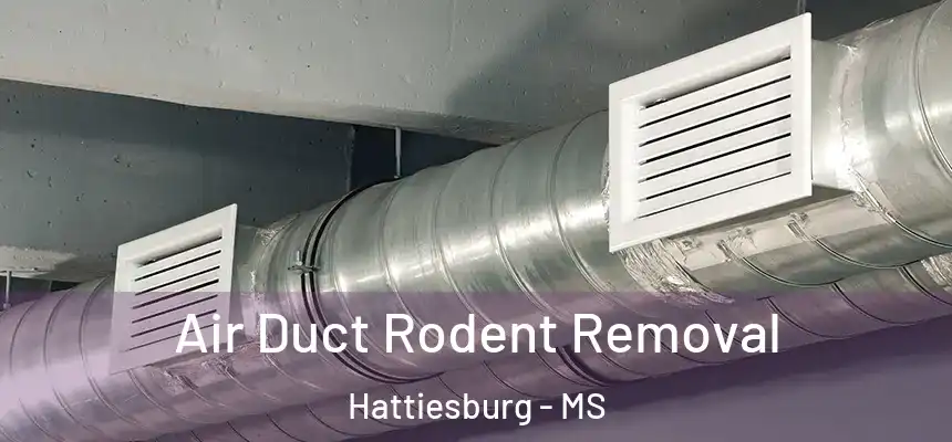  Air Duct Rodent Removal Hattiesburg - MS