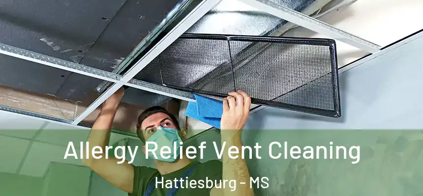Allergy Relief Vent Cleaning Hattiesburg - MS