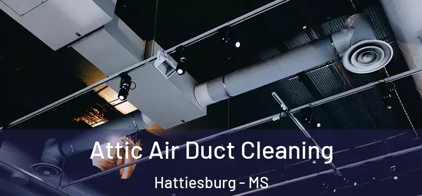 Attic Air Duct Cleaning Hattiesburg - MS