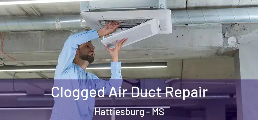  Clogged Air Duct Repair Hattiesburg - MS