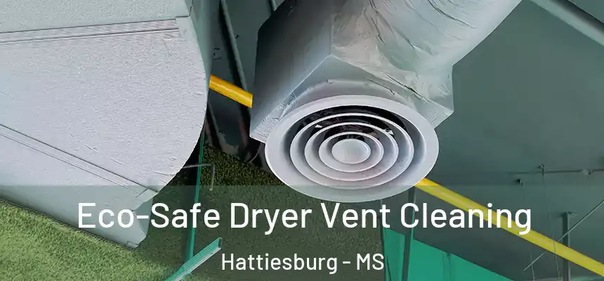 Eco-Safe Dryer Vent Cleaning Hattiesburg - MS