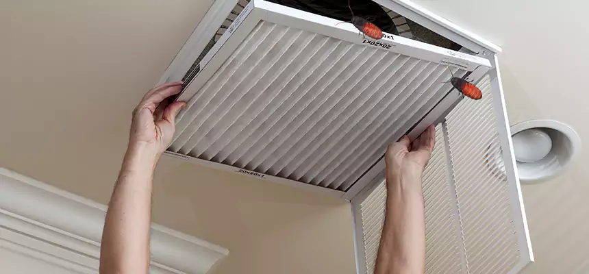 Preventive Cockroach-Proofing for Ducts in Hattiesburg