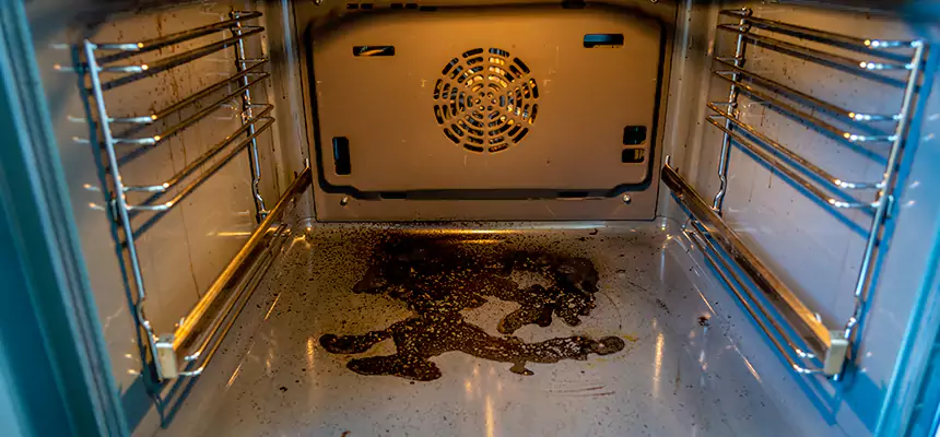 Our Dryer Vent Mold Cleaning Services in Hattiesburg, MS