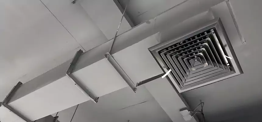 Our Rodent Droppings In Vents Services in Hattiesburg, MS