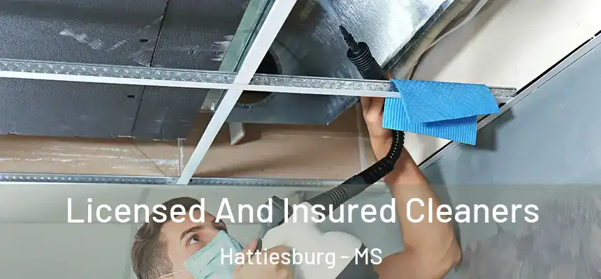 Licensed And Insured Cleaners Hattiesburg - MS