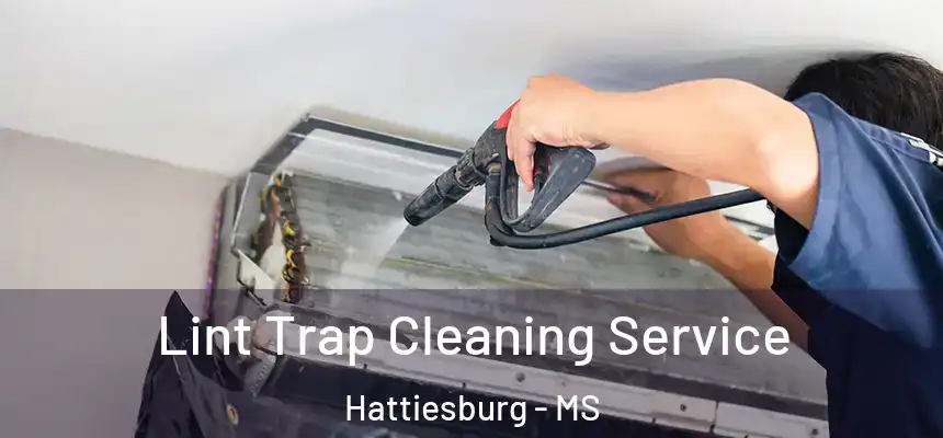 Lint Trap Cleaning Service Hattiesburg - MS