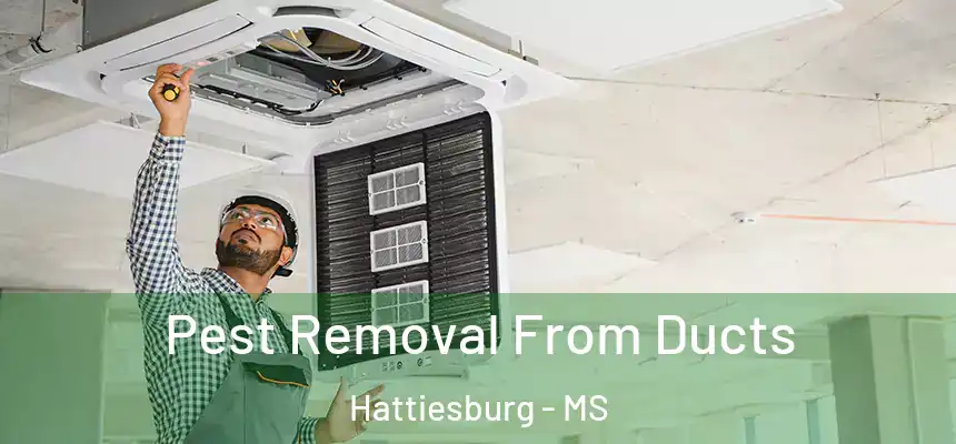 Pest Removal From Ducts Hattiesburg - MS