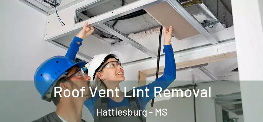  Roof Vent Lint Removal Hattiesburg - MS