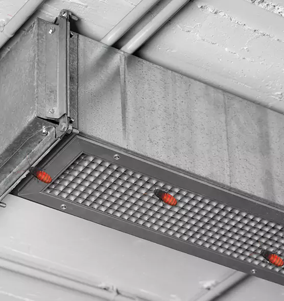 Affordable Insect Removal from Air Ducts in Hattiesburg, MS
