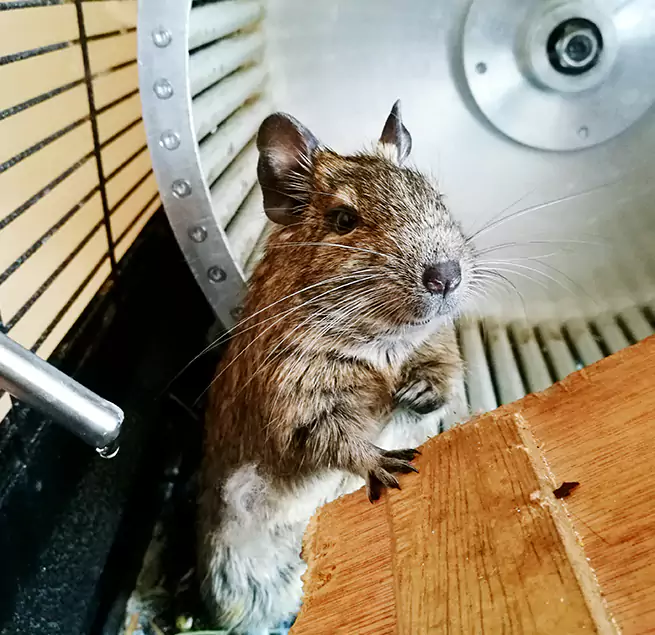 Why Homeowners & Businesses Trust Us Hattiesburg, MS?