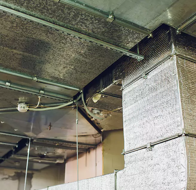 Why Homeowners & Businesses Trust Us in Hattiesburg, MS?