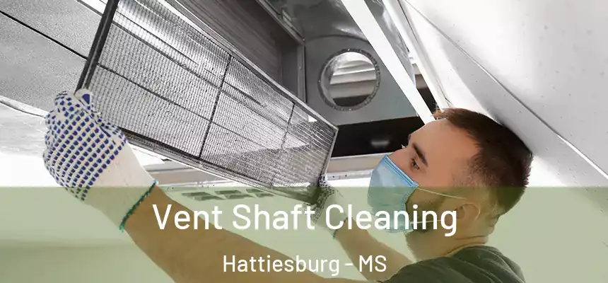  Vent Shaft Cleaning Hattiesburg - MS