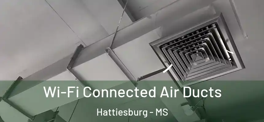  Wi-Fi Connected Air Ducts Hattiesburg - MS